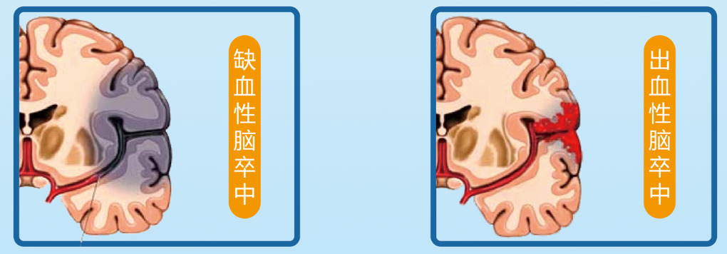 （稿一）.png