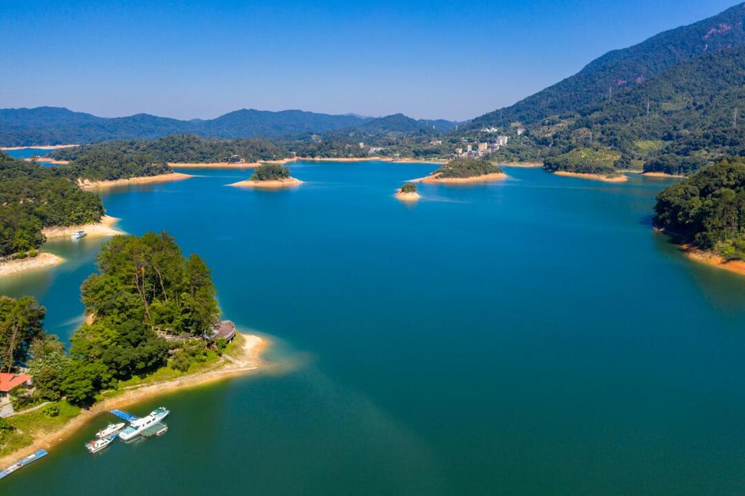 鱼是净化水质的"能手"?广州流溪河水库有答案