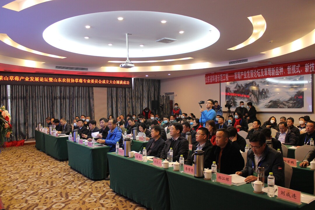 会议现场.JPG