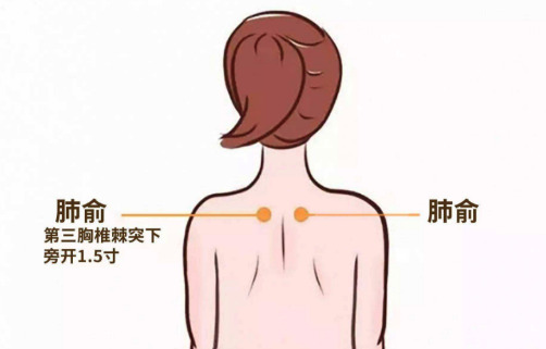 肺后背位置图图片
