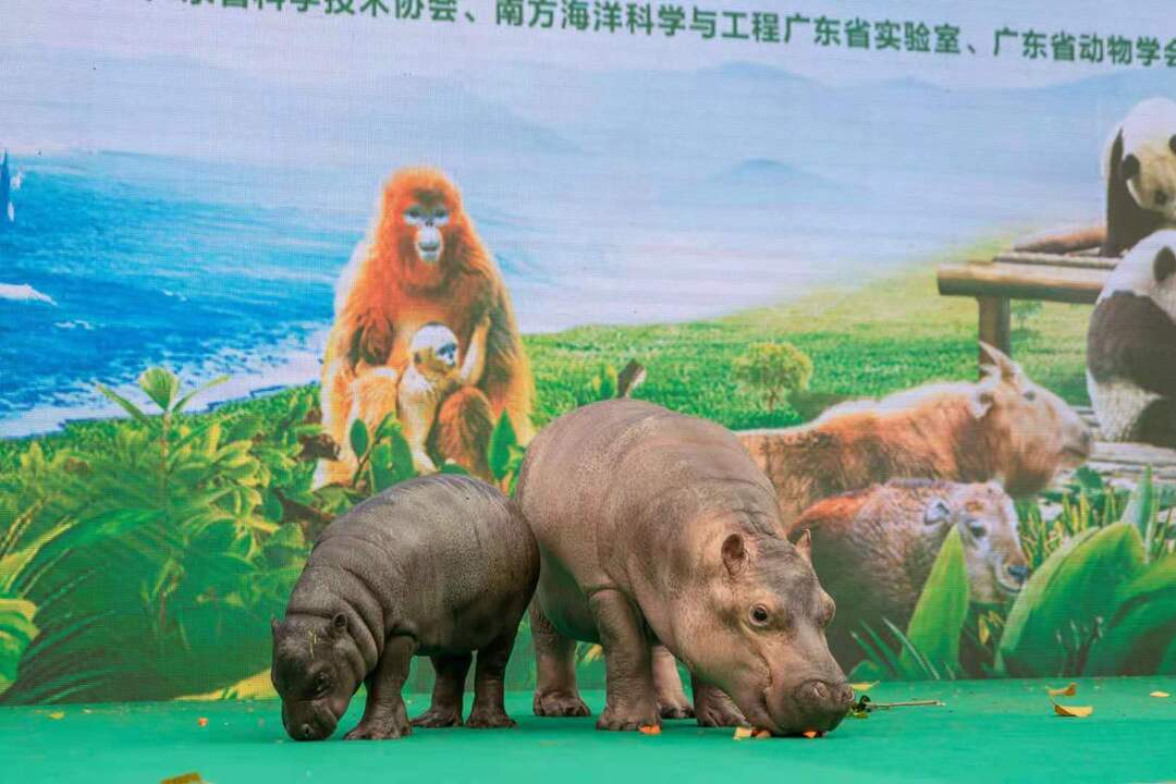 微信图片_20210304181252.jpg