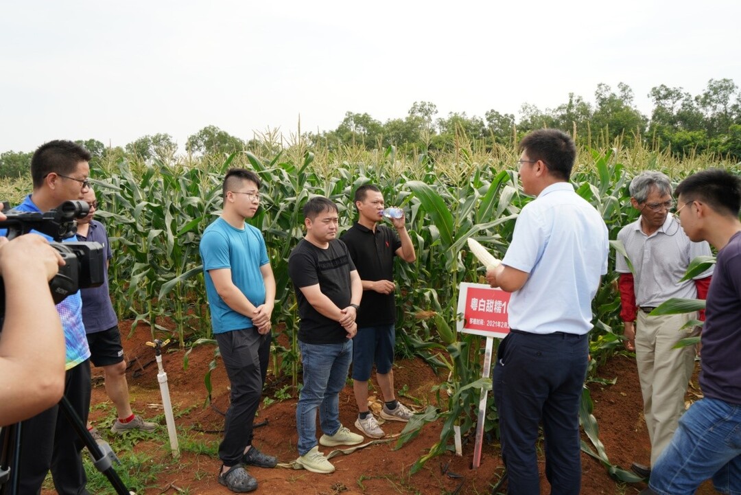 162089140761038590.jpg 11.jpg