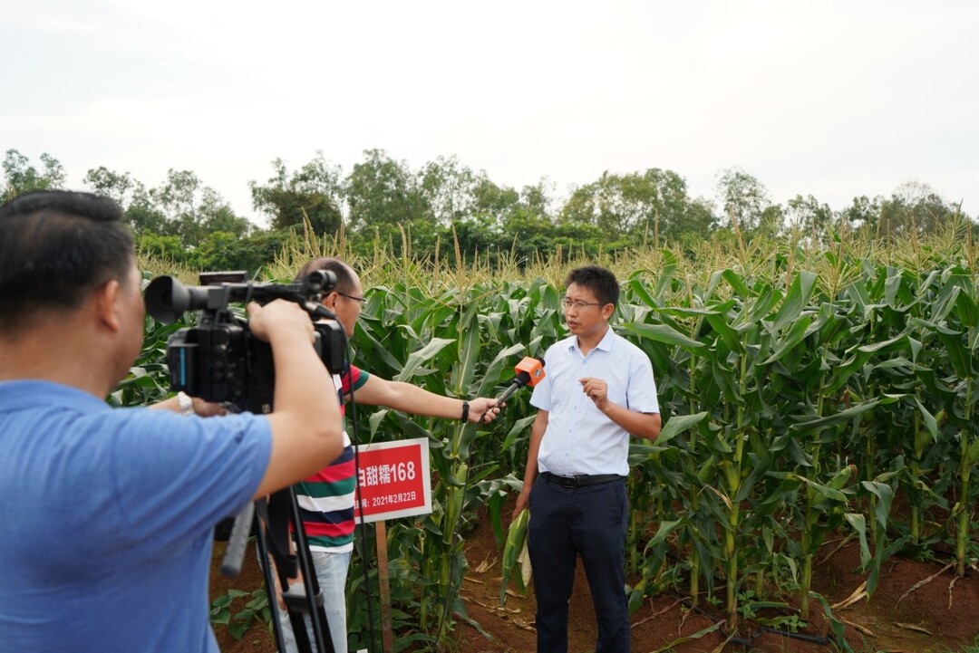 162089150562487012.jpg 2.jpg