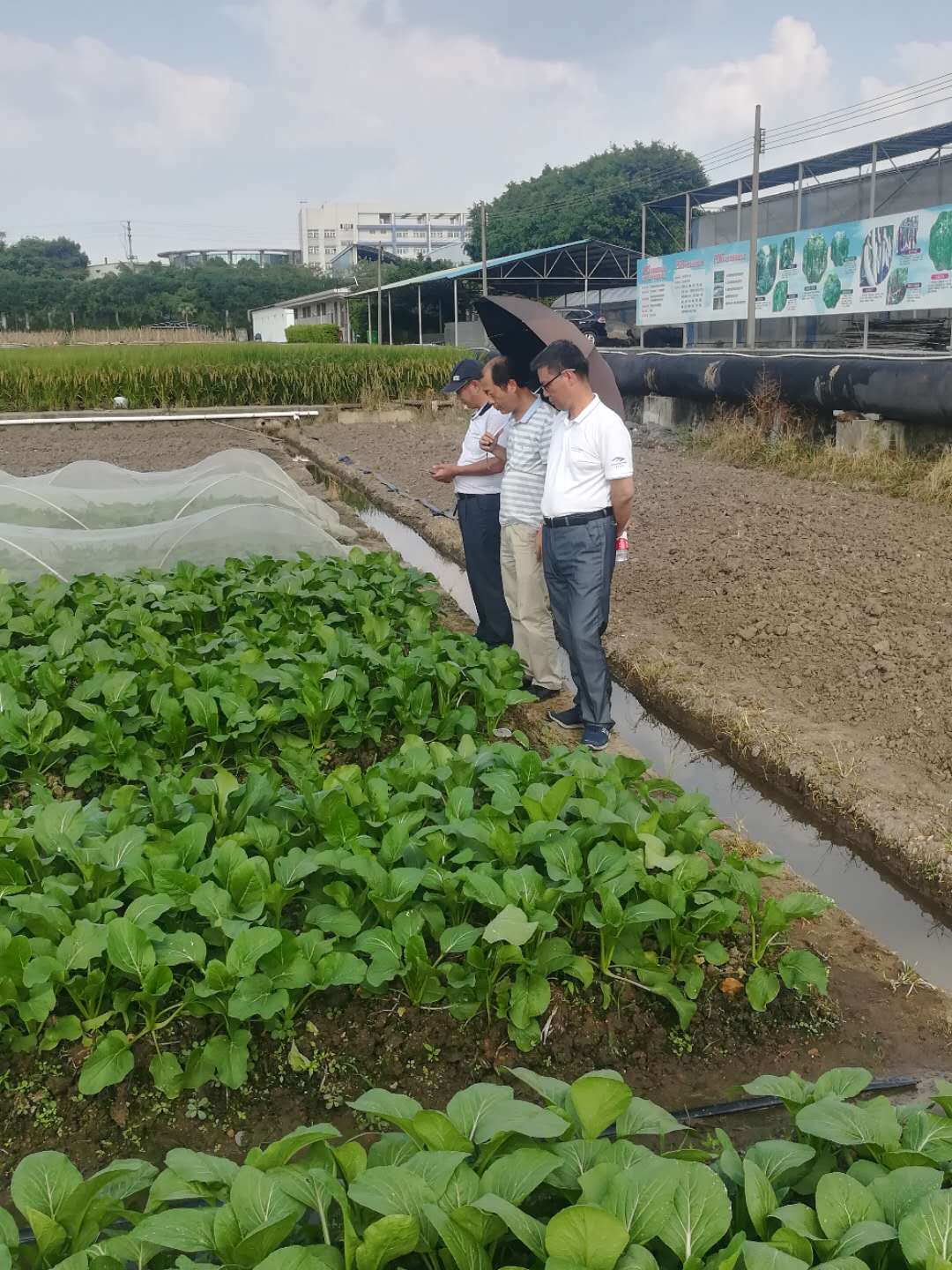 专利技术赋能肥料产品仲恺农业工程学院产学研合作结硕果