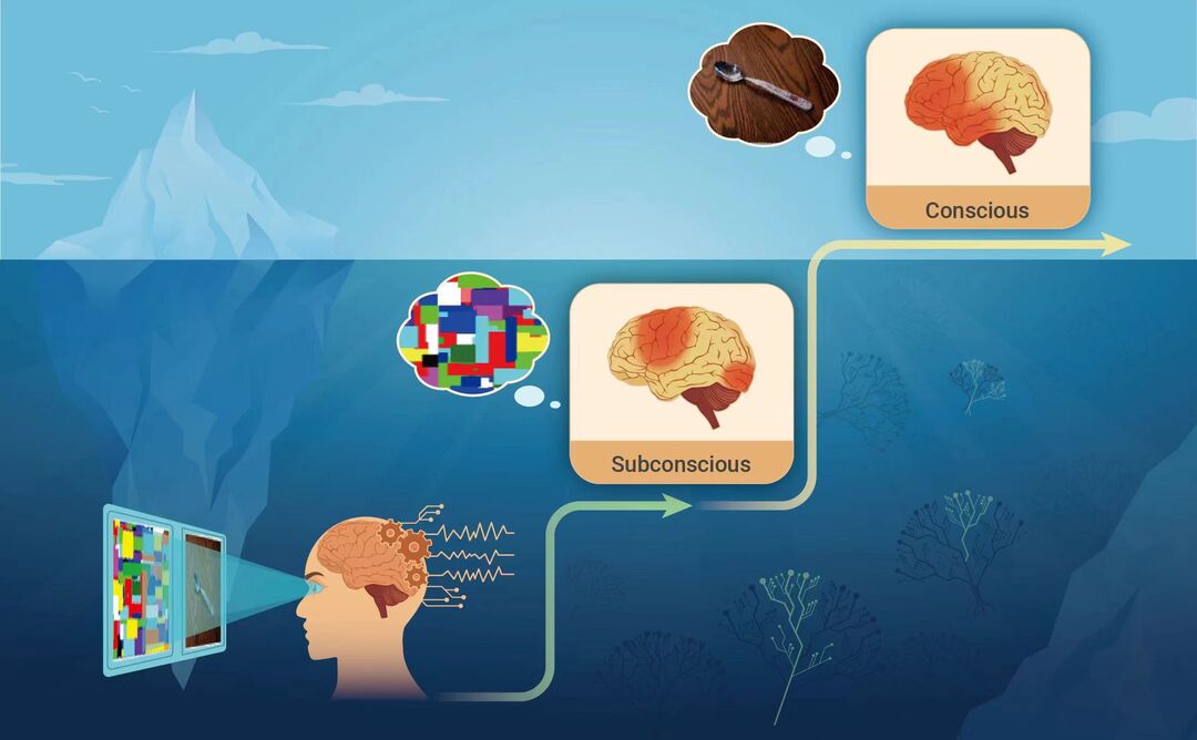 视觉感知从无意识到意识下再到意识上涌现过程中大脑的动态变化的示意