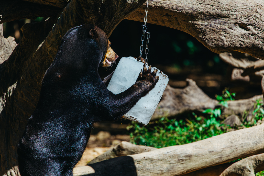 165848834406542599.jpg dbc97c7460b3fe41bbd9bbf36c9a49c9_.jpg