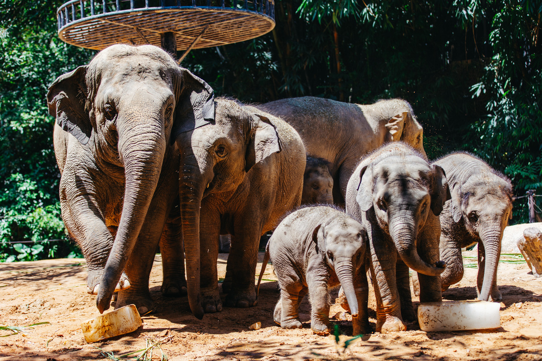 165848841724690742.jpg 163d26c00aa2b2a7e0fffbef7195e387_.jpg