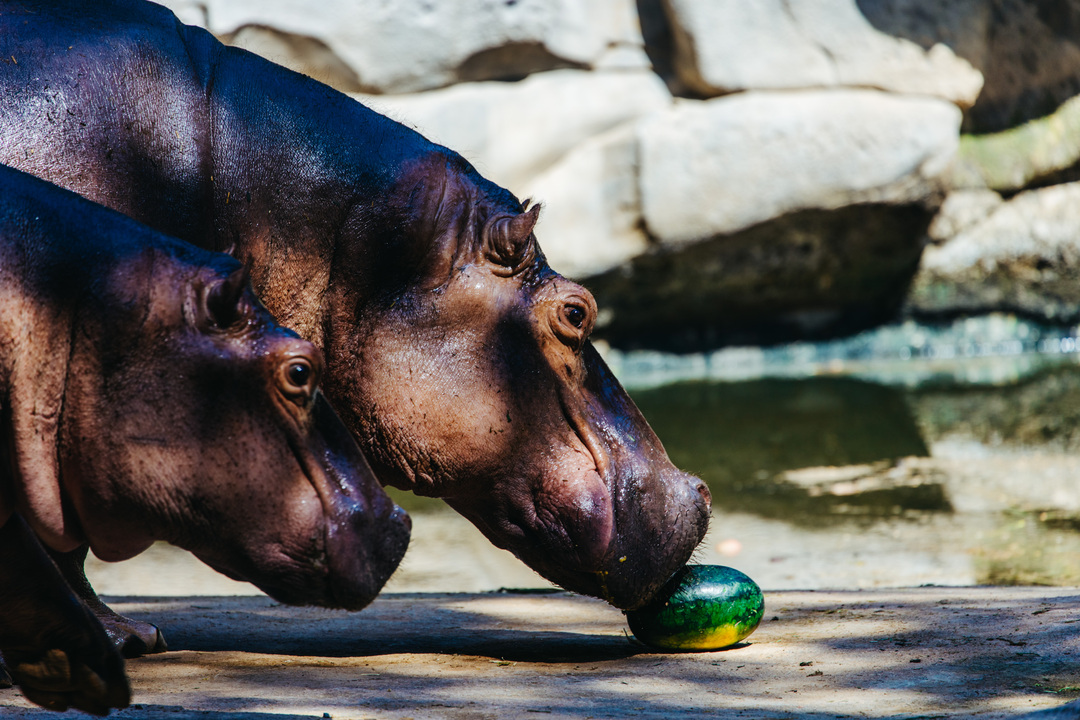 165848847772834333.jpg b6677708d24cec4e7172a35085bf210a_.jpg