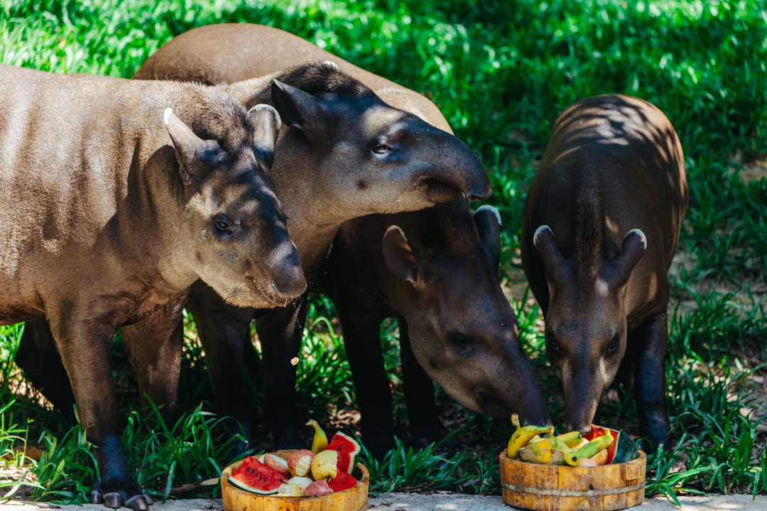 165848849762217436.jpg ff24ba22adef39b994039659bf897a67_.jpg