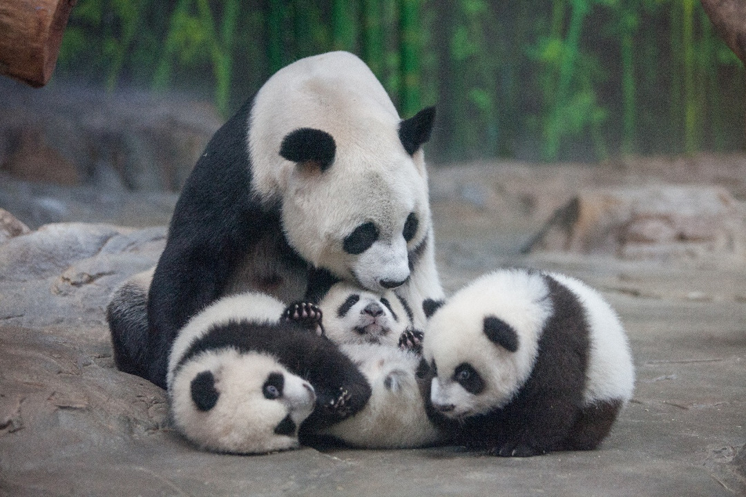 图片2.png