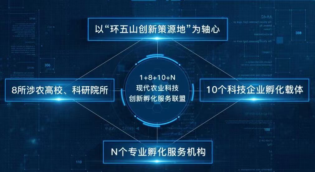 mmexport1664331036255.jpg