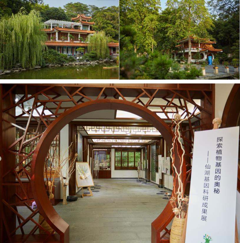 探索植物基因.jpg