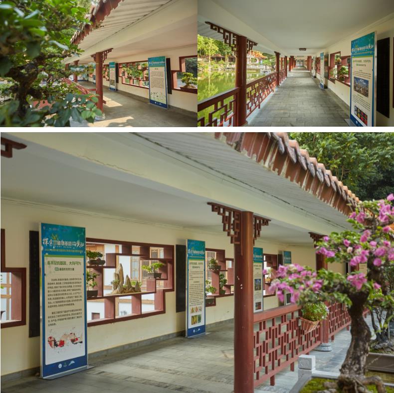 探索植物基因02.jpg