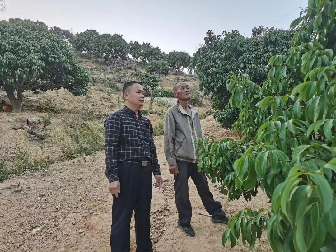 图片4.png