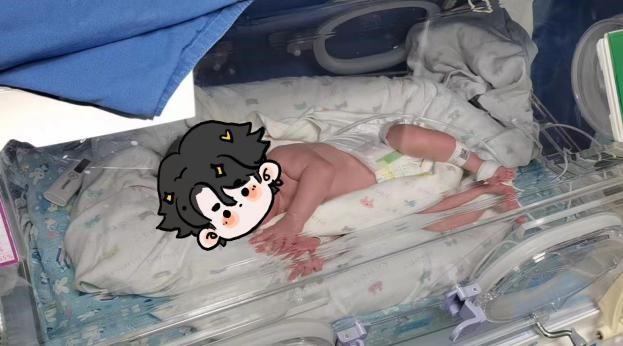 166865231989666893.jpg 13.jpg