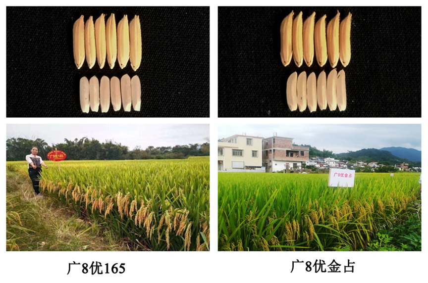 Screenshot_20230220_183729_com.tencent.mtt.png
