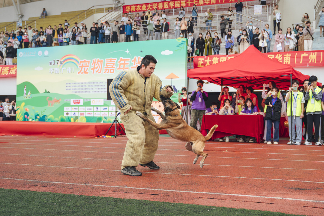 2.才艺表演 张嘉雯 (1).jpg