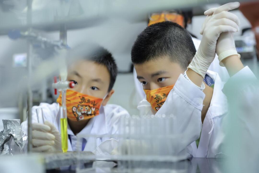 学员们在仙湖植物园实验室进行青蒿素提取实验.jpg