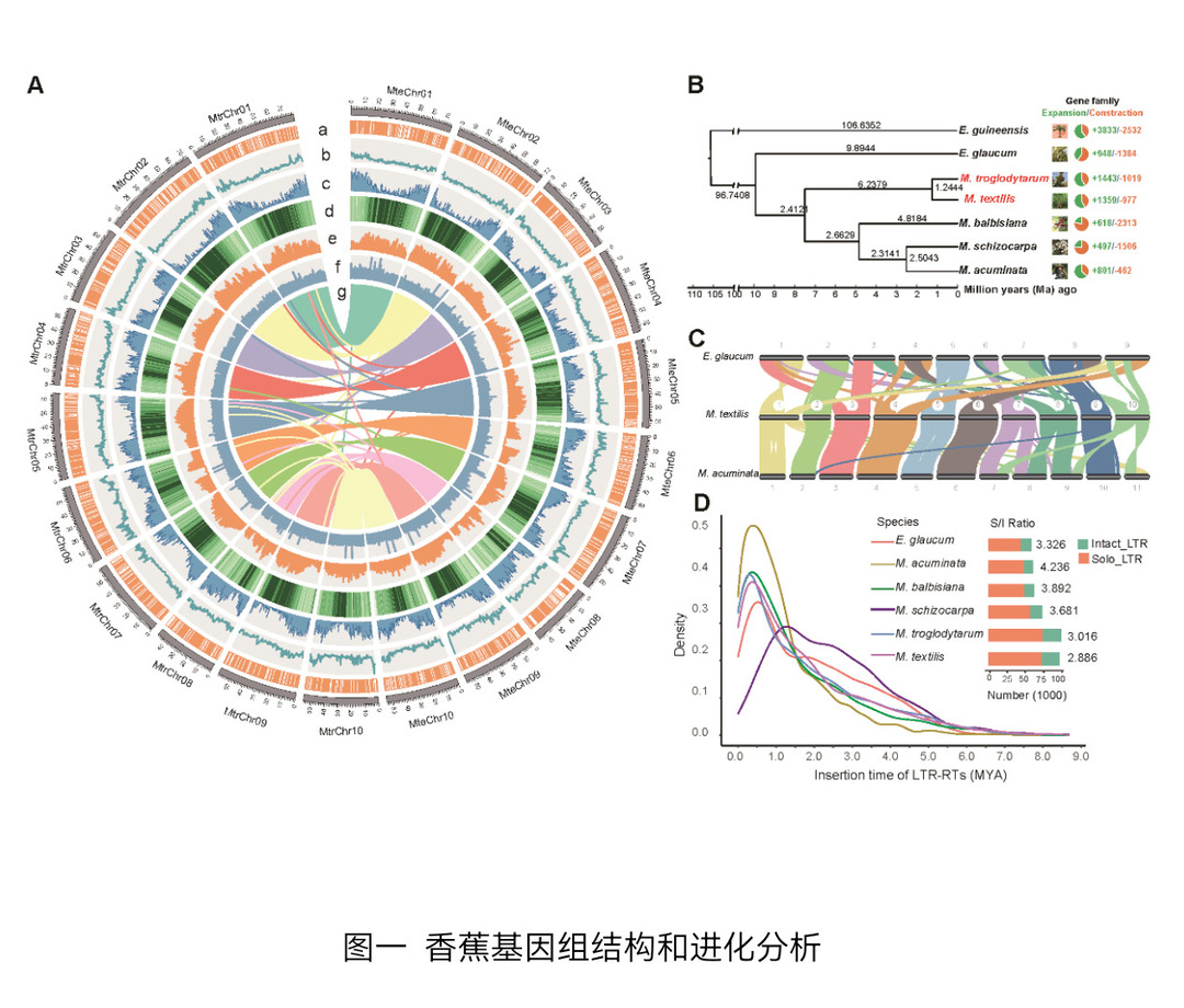 169392359637034735.png Screenshot_20230905_163217_cn.wps.moffice_eng.png