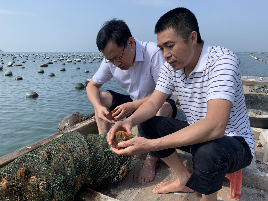 郑怀平3.jpg