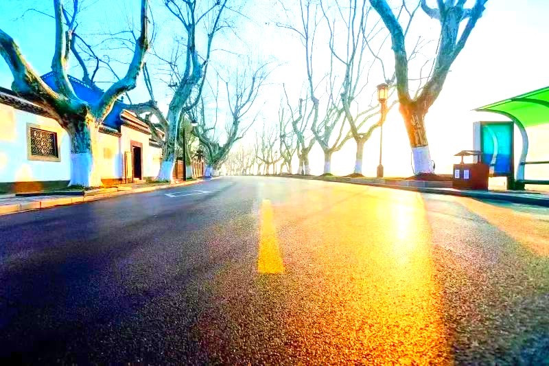 虞将苗团队在杭州市西湖北山街铺设的路面.jpg