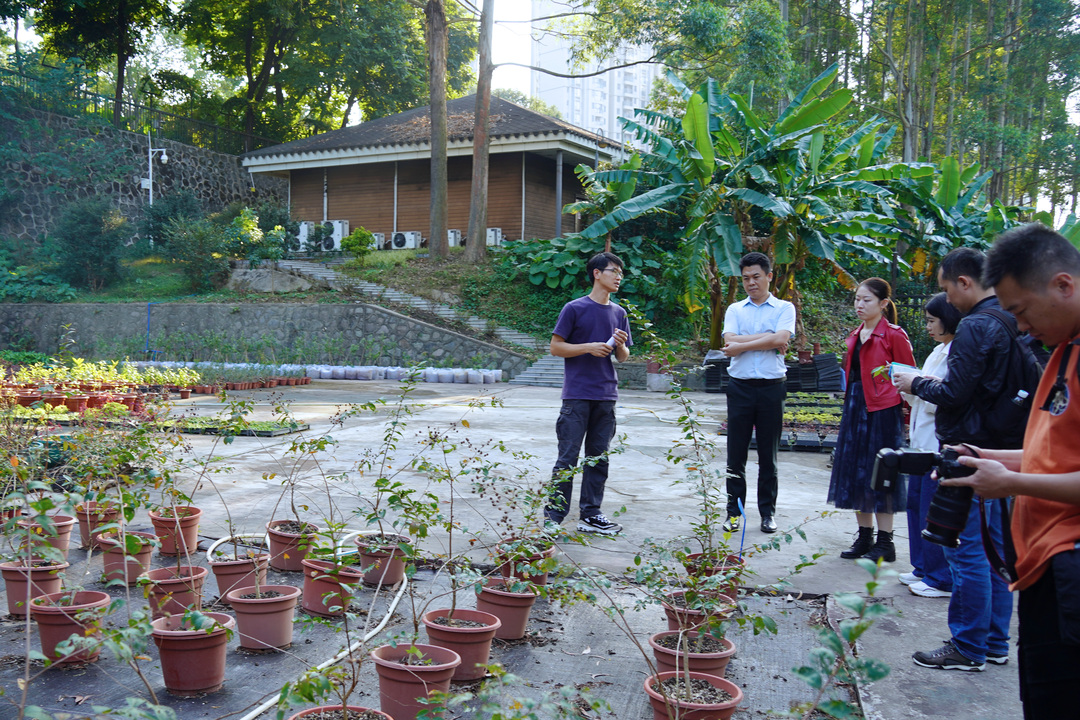 DSC09196-副本.jpg