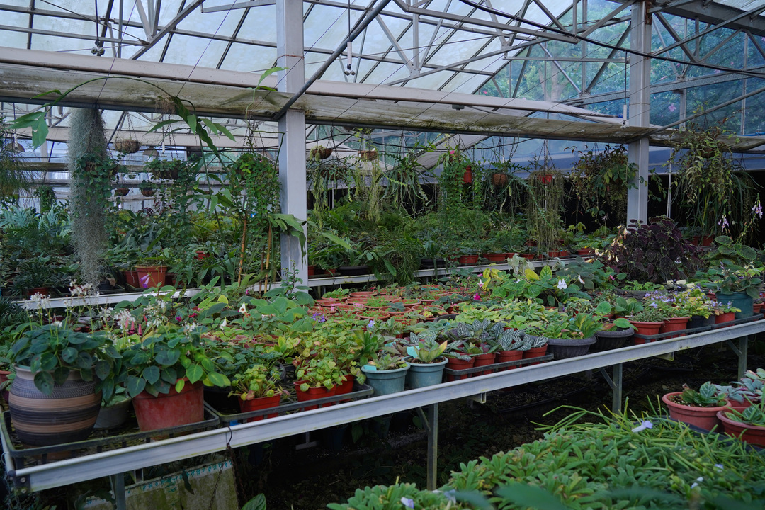 DSC09219-副本.jpg