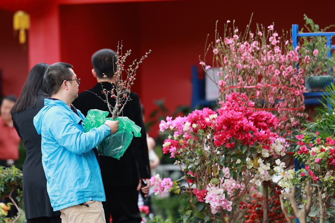 170696555884275183.jpg 买花.jpg