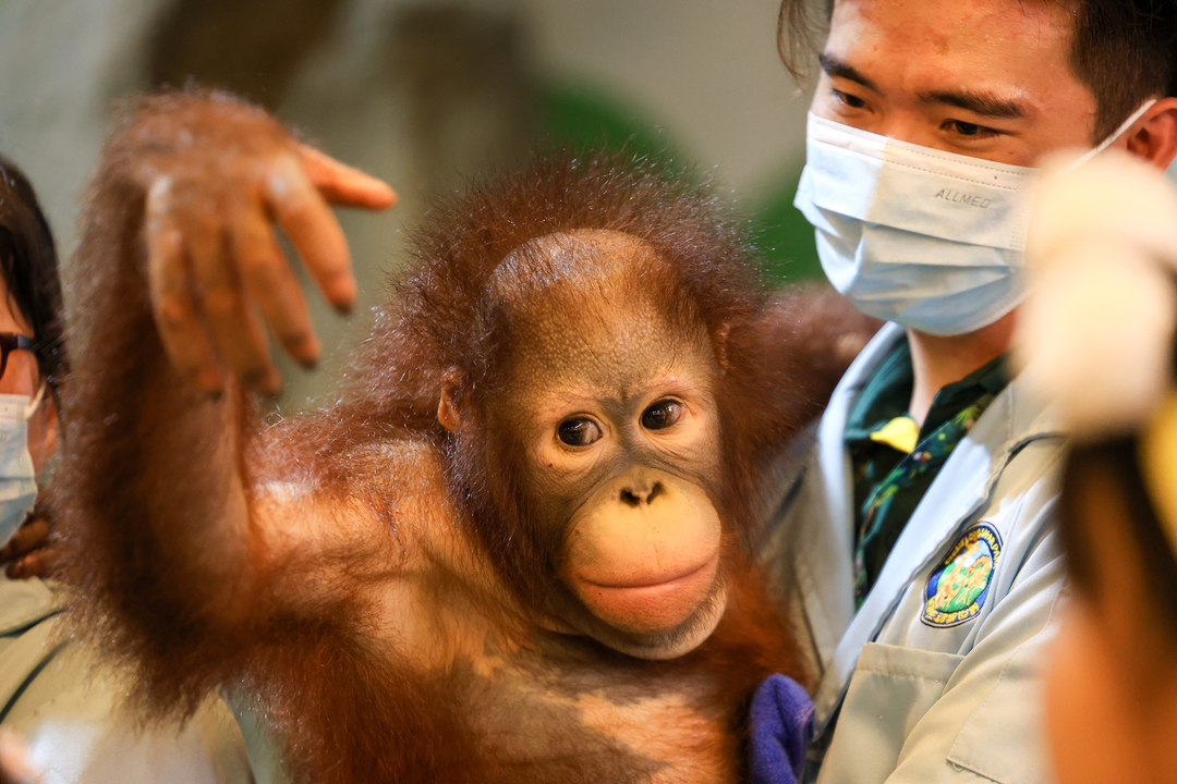 171423528496471825.jpg 7262e1d27421362ee6c7ae61948ca412_.jpg