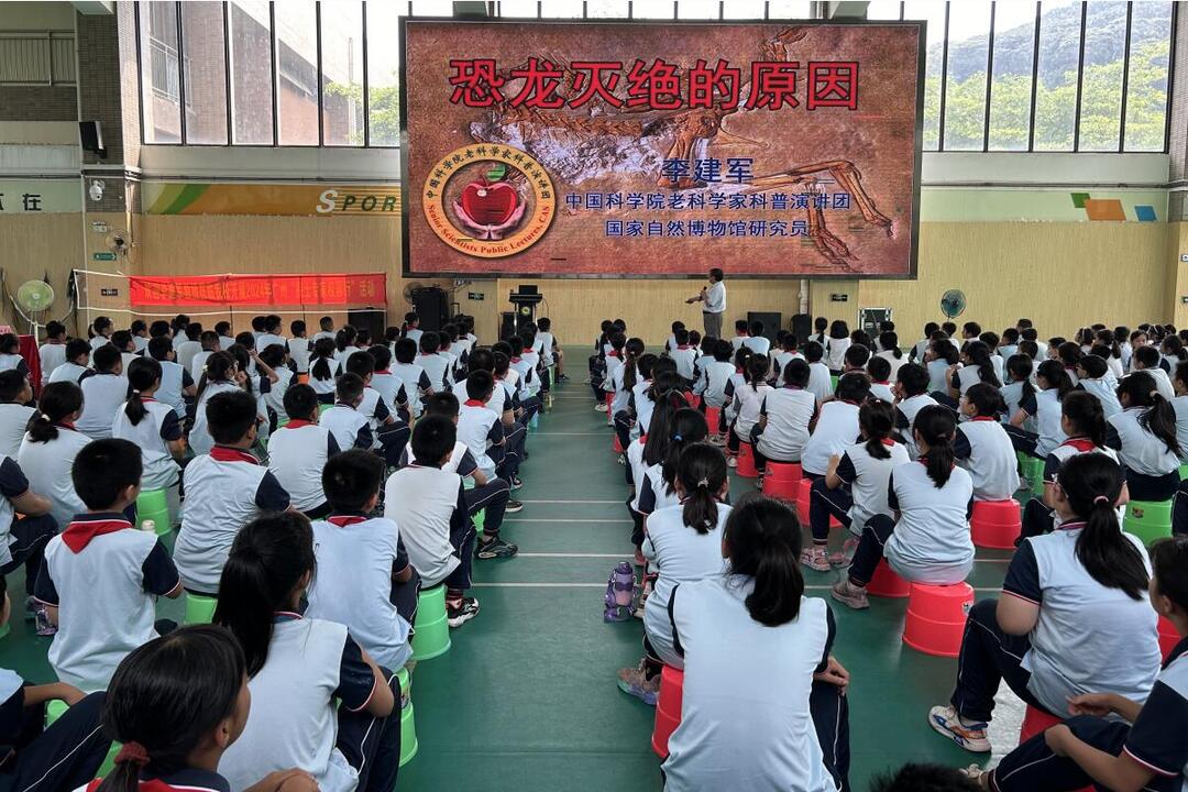 南沙小学1.jpg
