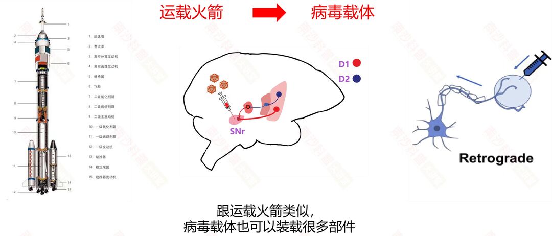 微信图片_20240607112927.jpg