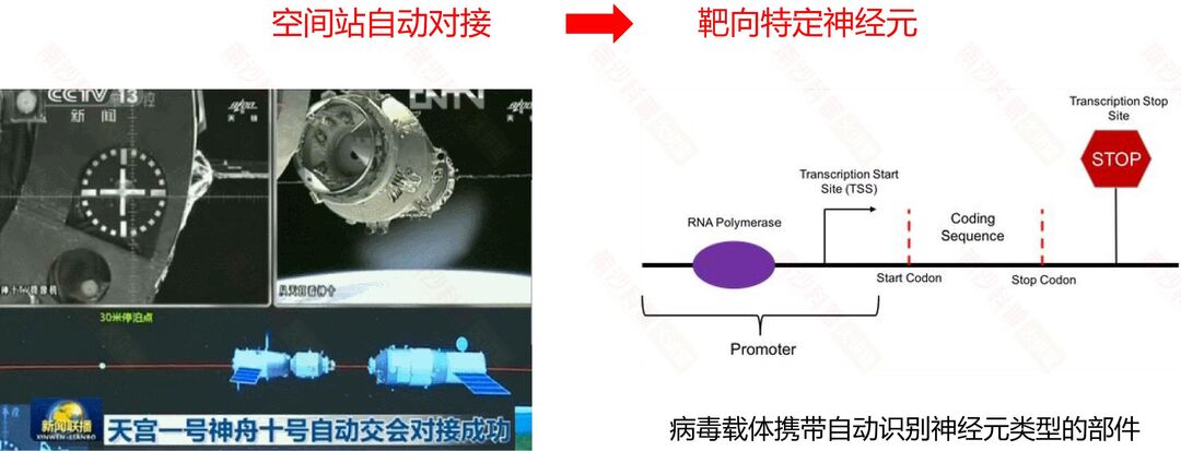 微信图片_20240607113015.jpg