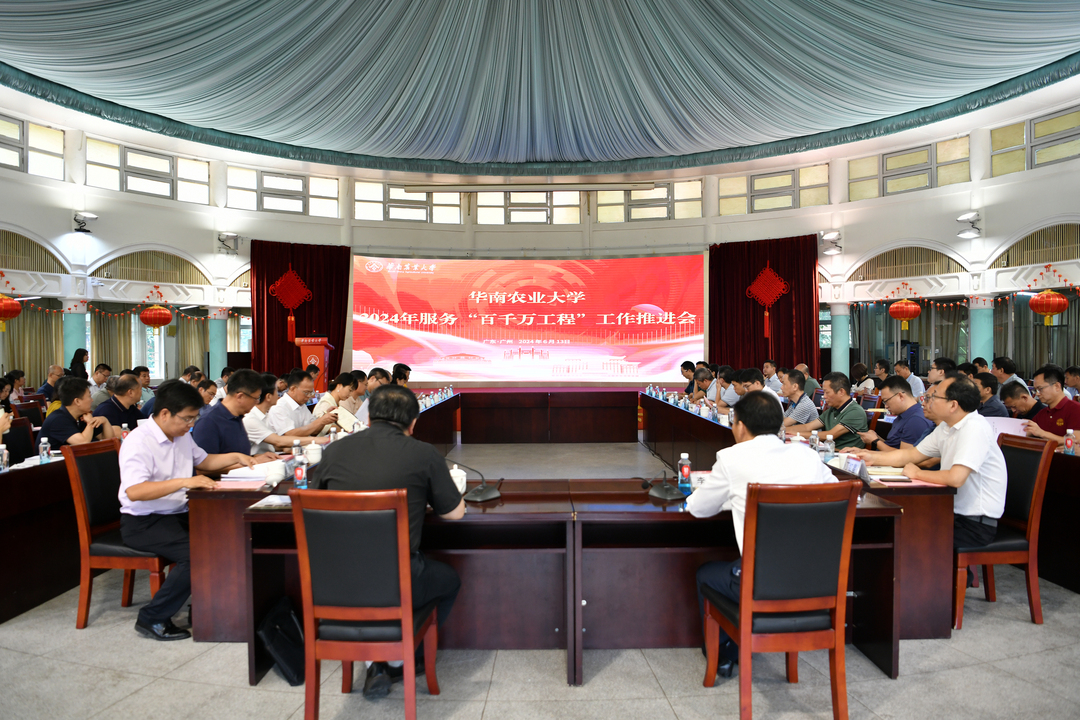 推进会现场.jpg