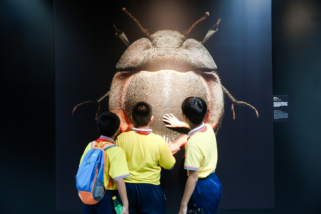 参观展览02.jpg