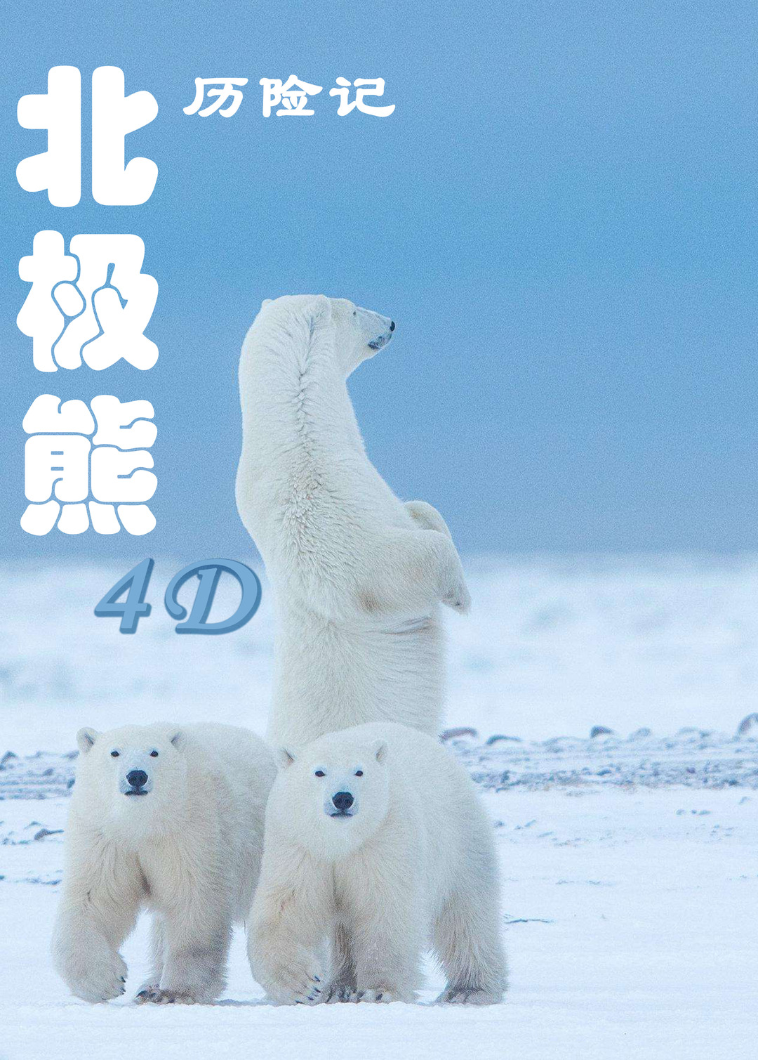 5.北极熊历险记.png