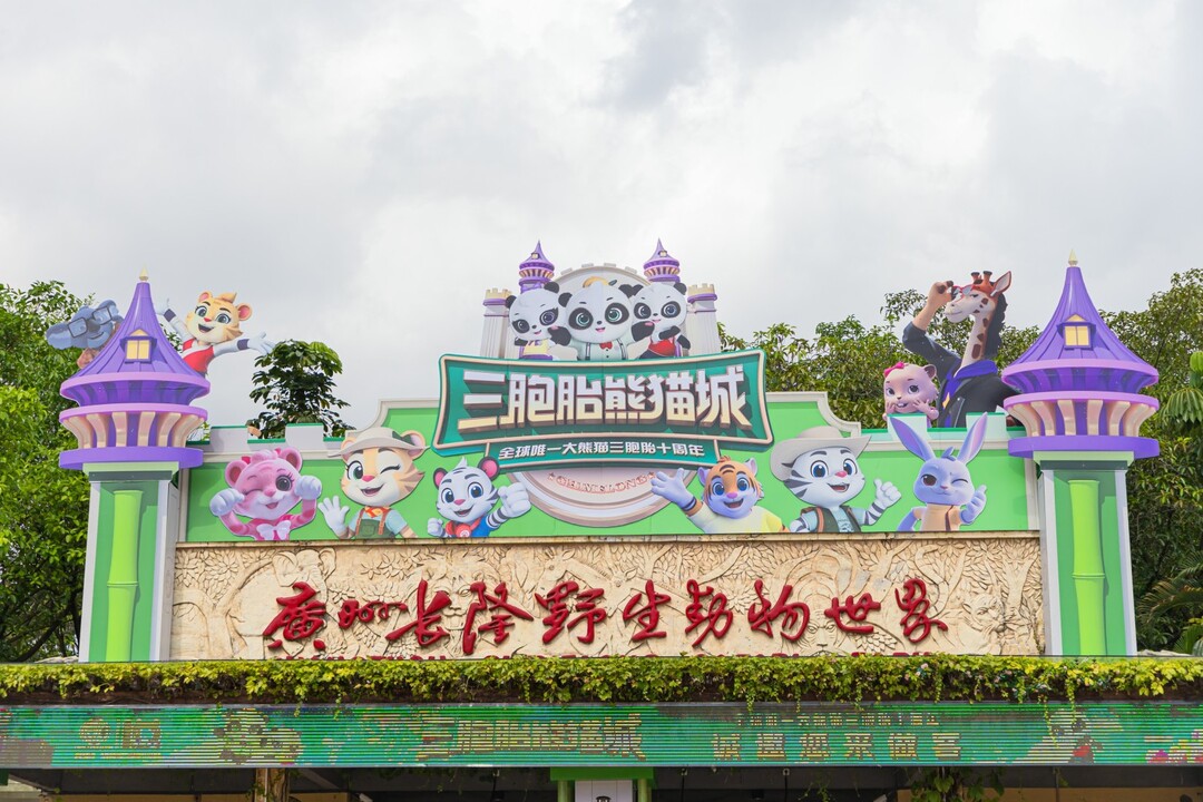 10187743.jpg
