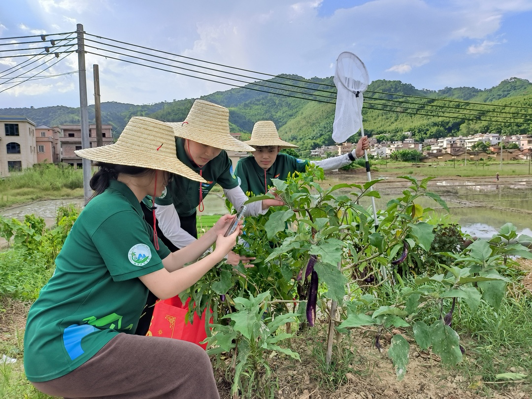 病虫害调研.jpg