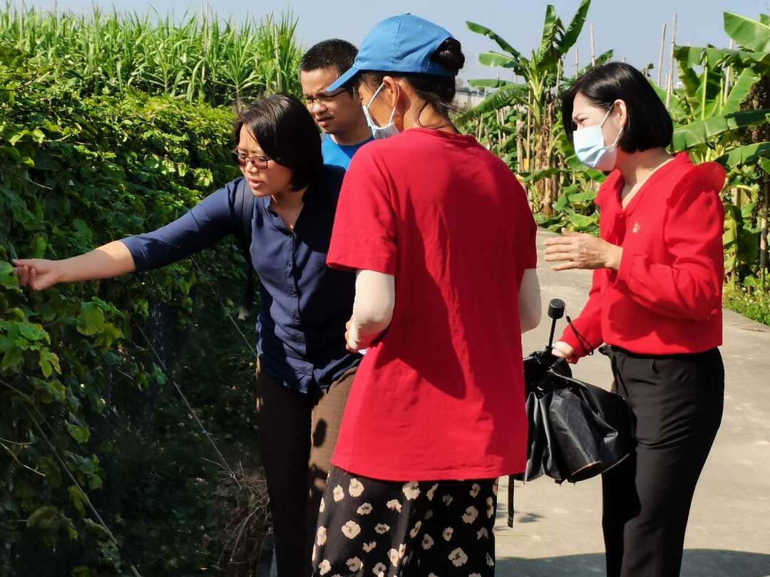 现场技术指导02.jpg