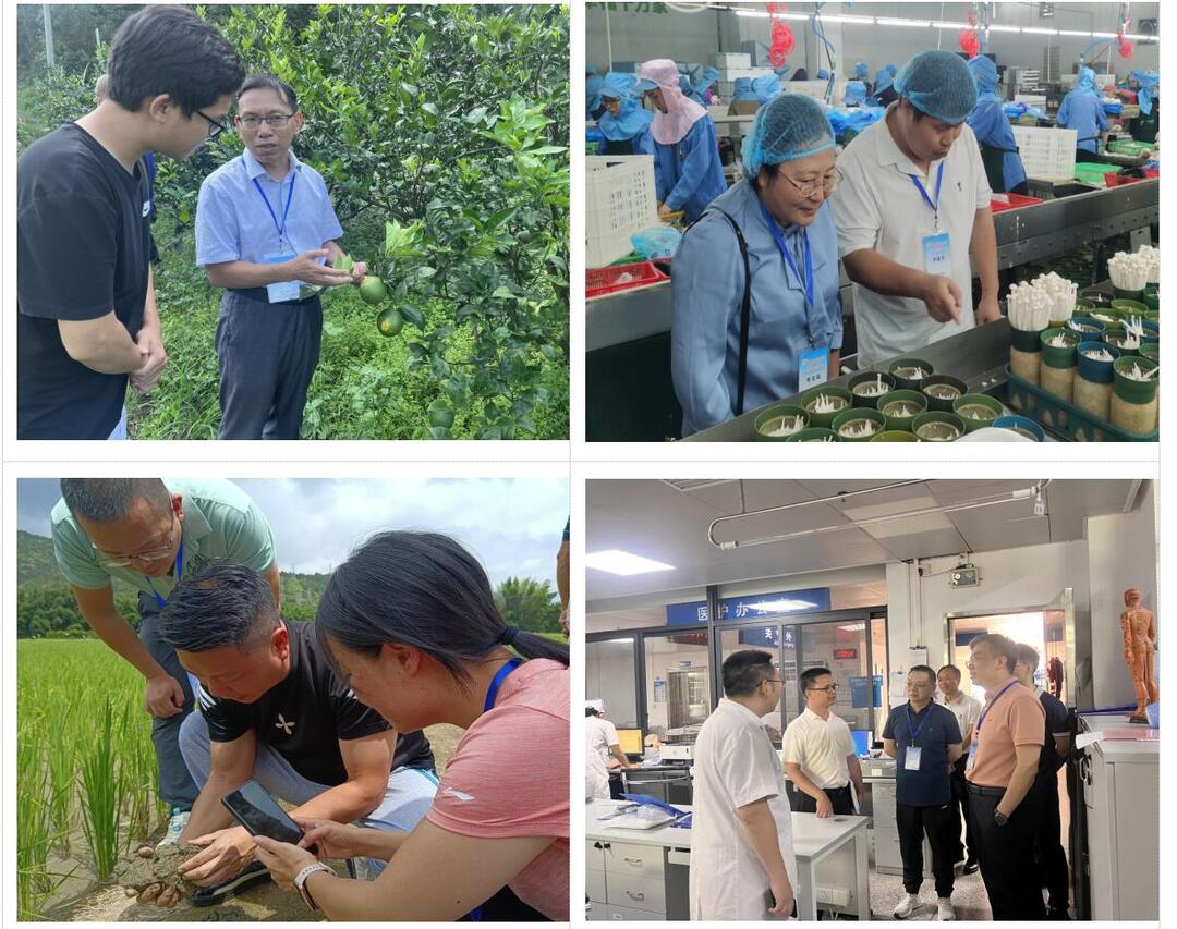 172482115950187885.jpg 2.jpg