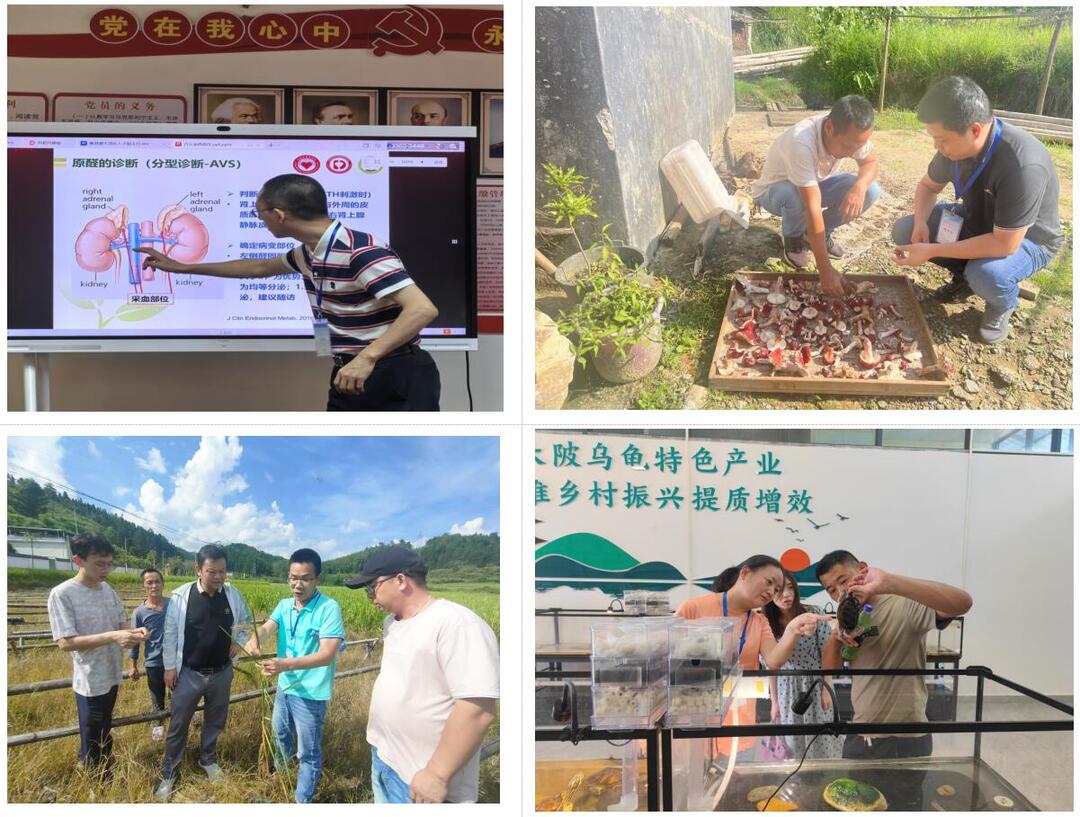 172482117565056910.jpg 3专家们在果园、田间地头、生产车间、乡镇卫生院把脉问诊.jpg