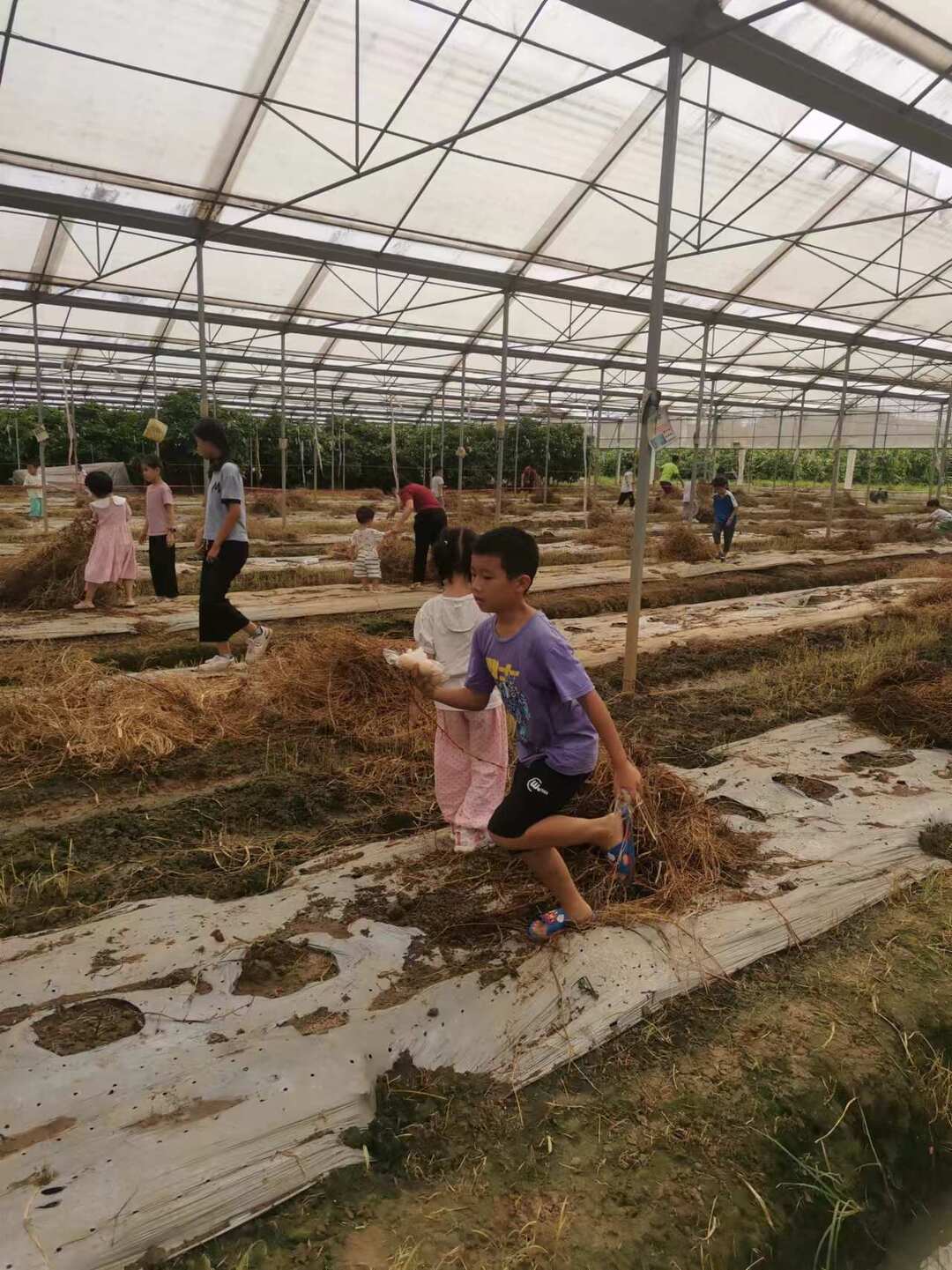 微信图片_20240923142409.jpg