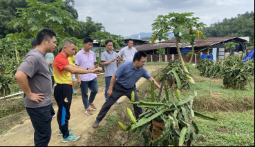 172760324790309414.png image.png