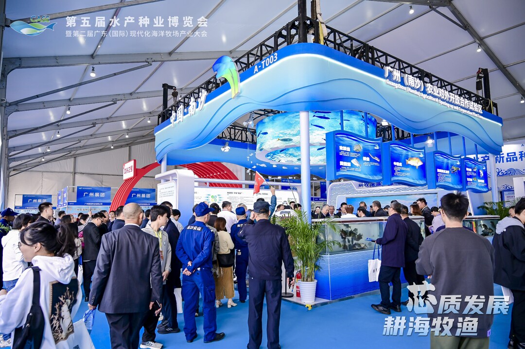 南沙展区.jpg