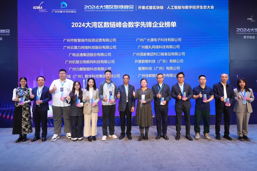 2024大湾区数链峰会数字先锋企业.jpg