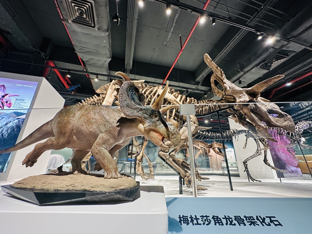 图片17.jpg