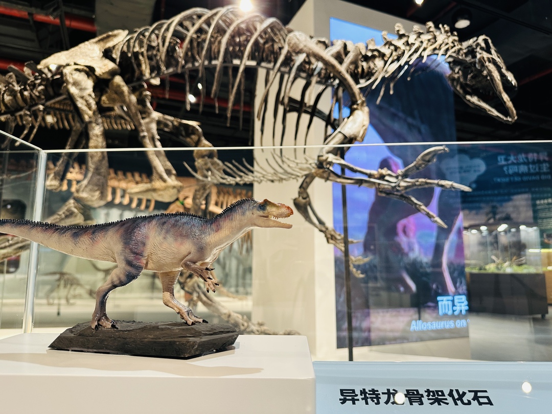 图片19.jpg