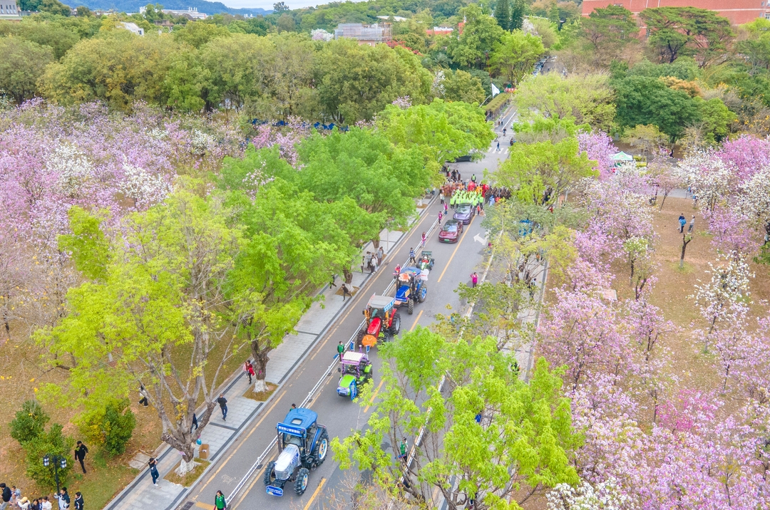活动现场.jpg
