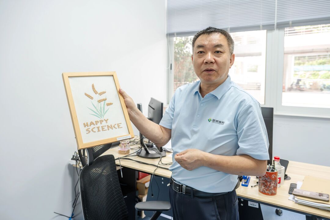 3.储成才介绍水稻种子画.jpg