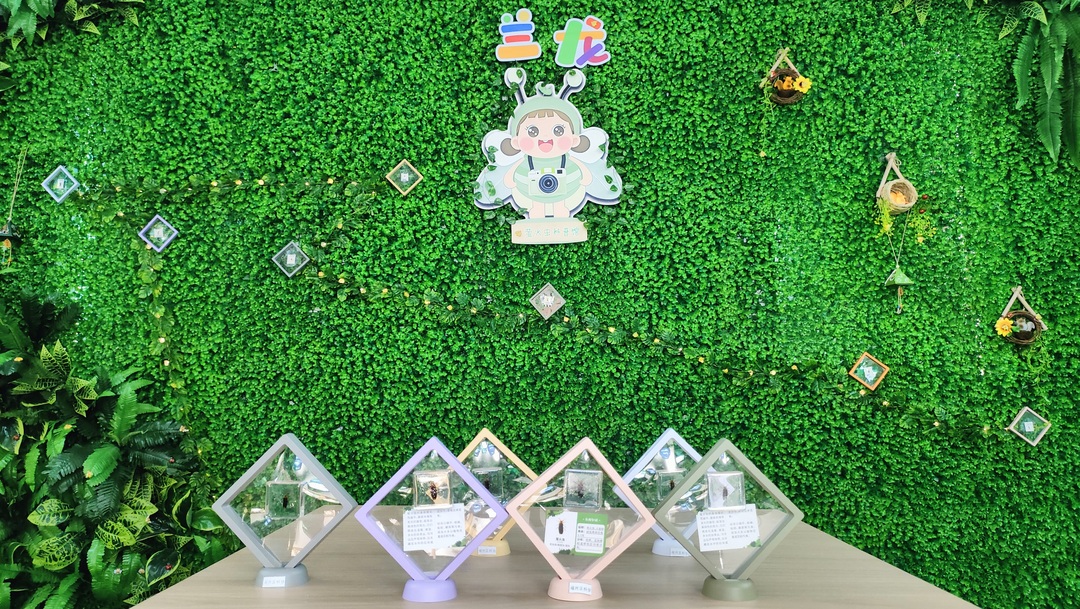 萤火虫知识科普展厅.jpg